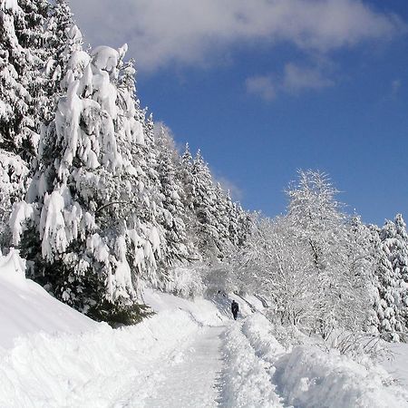 Ferienwohnung Am Eisweiher Titisee-Neustadt Zewnętrze zdjęcie