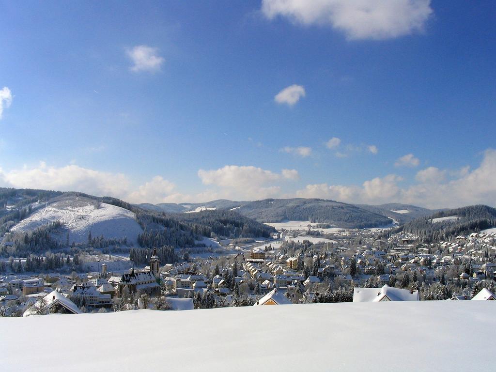 Ferienwohnung Am Eisweiher Titisee-Neustadt Zewnętrze zdjęcie